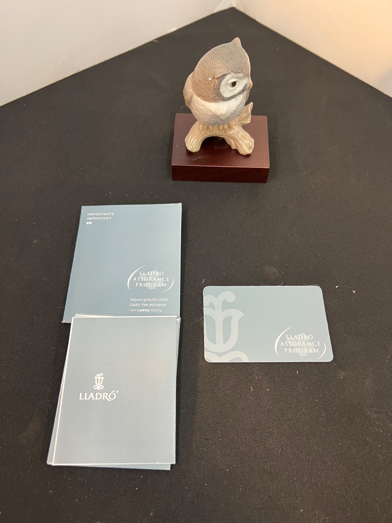 Lladro Knocks on Wood Owl Figurine with Original Box