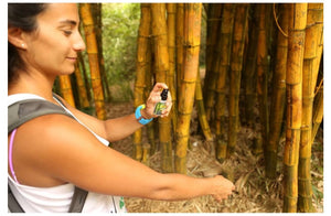 Woman applying sunscreen in a bamboo forest