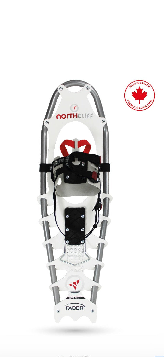 Snowshoe with North Face branding on a white background