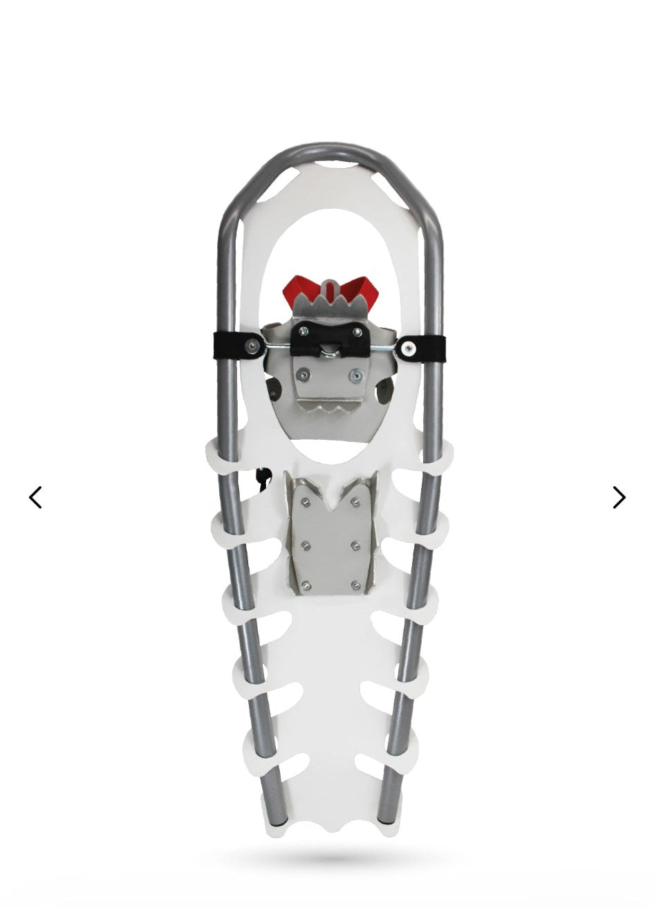 Snowshoe on a white background with a browser tab showing 'fabersnowshoes.com'.