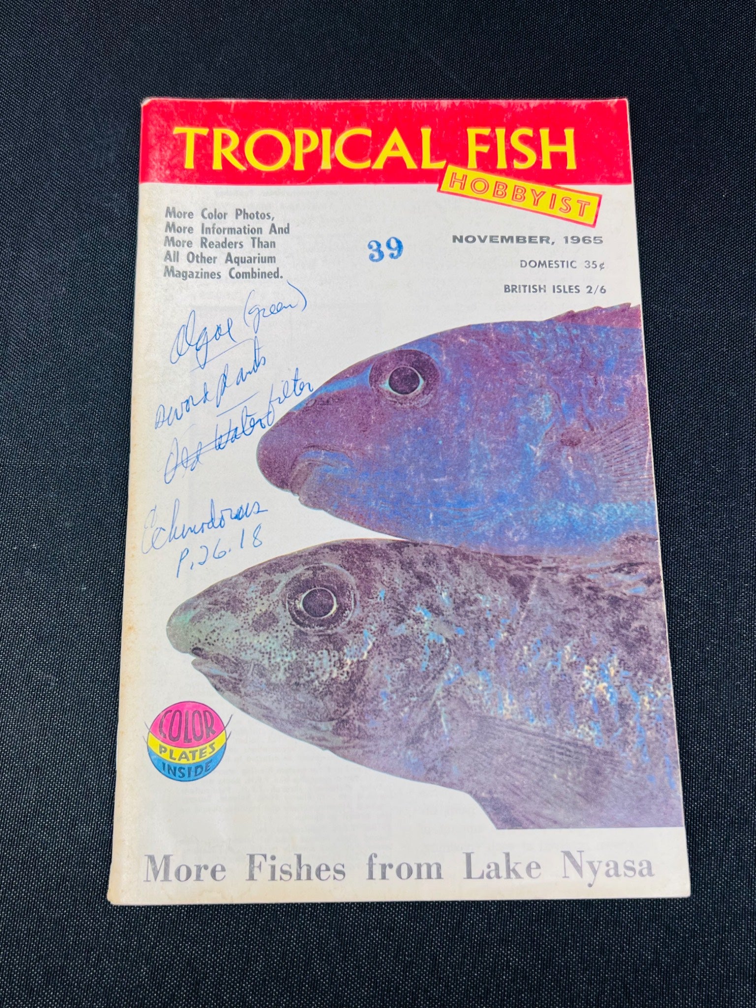 Tropical Fish Hobbyist Magazine, November 1965