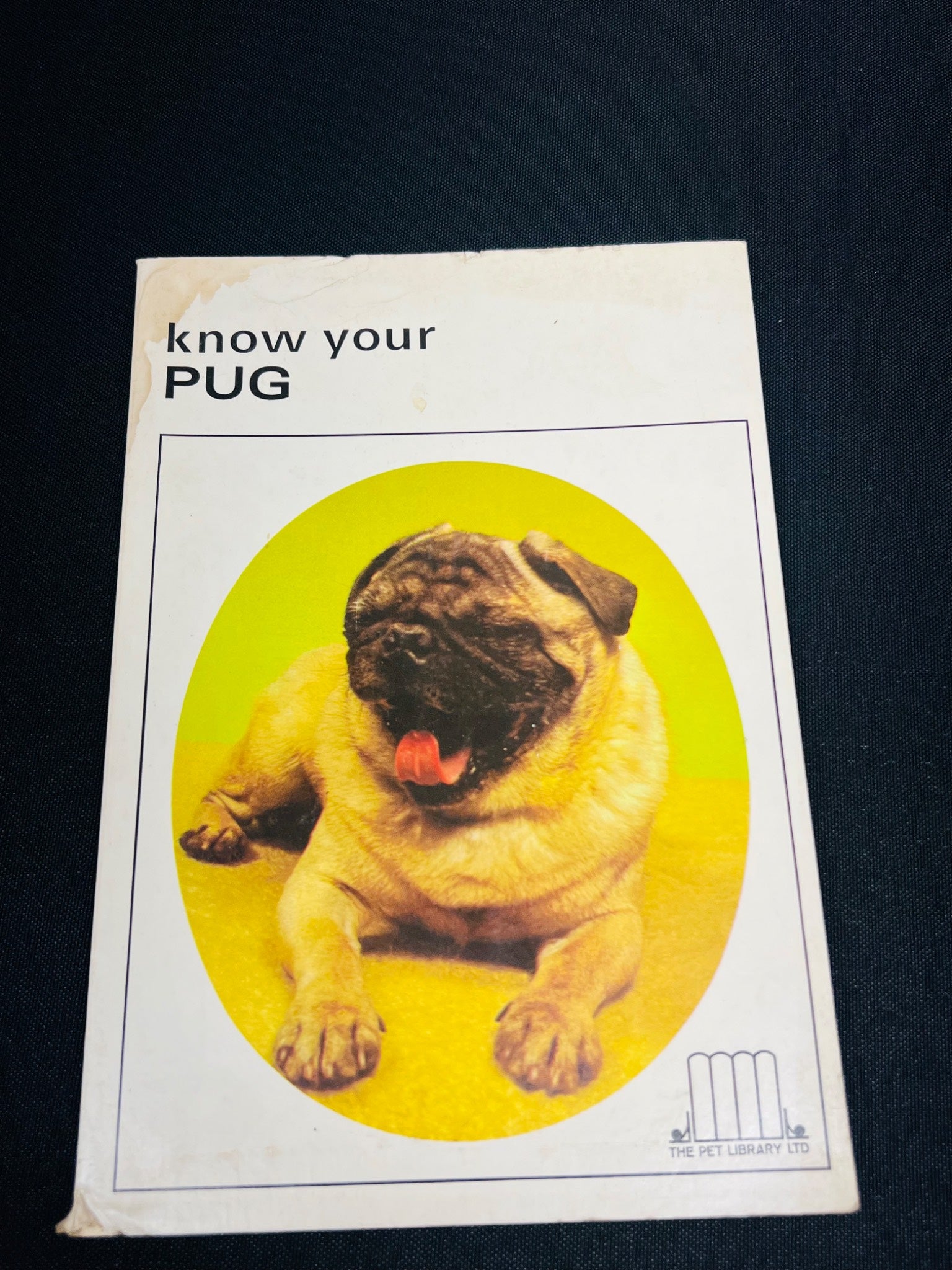 Know Your Pug Guide By Pet Library Ltd