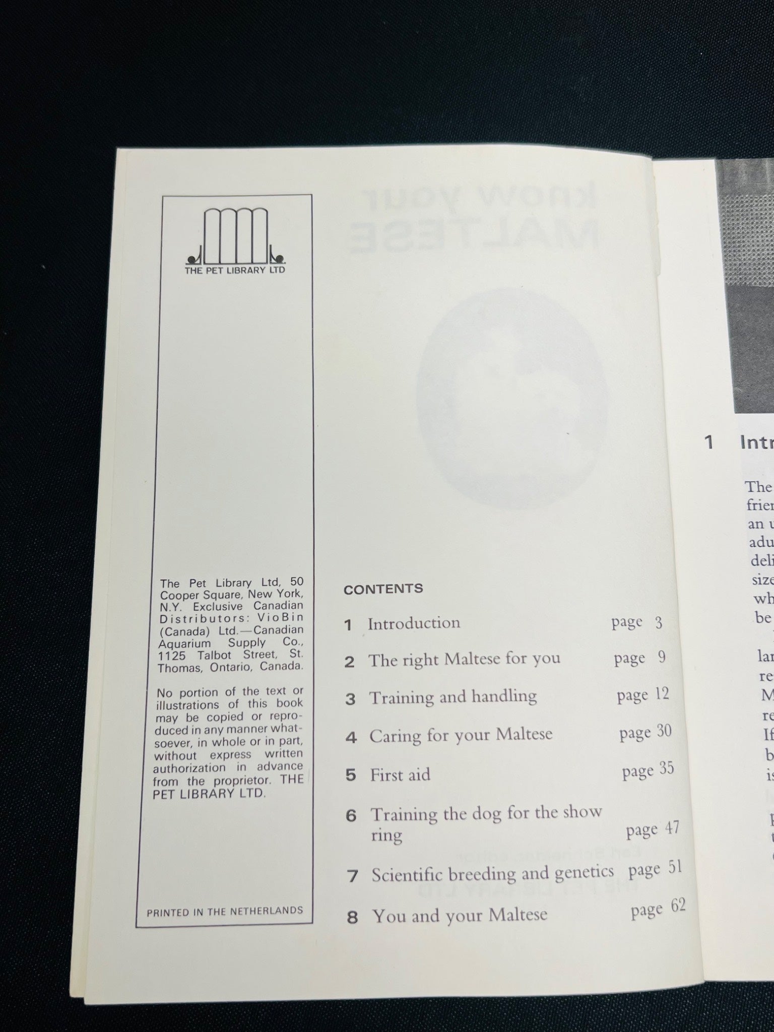 Know Your Maltese by The Pet Library Ltd