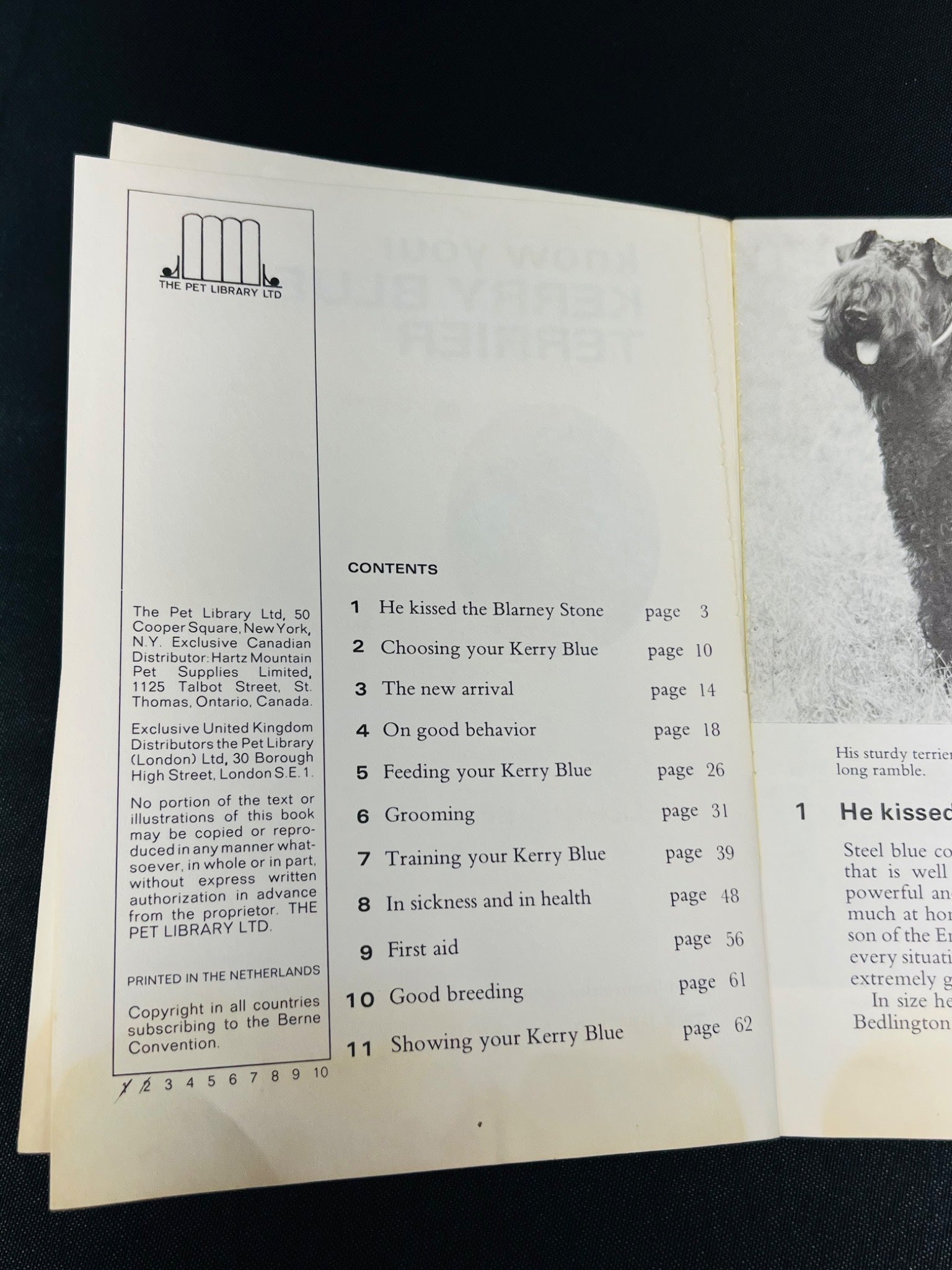 Know Your Kerry Blue Terrier Guidebook