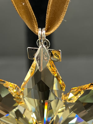 Gold star-shaped pendant with a silver angel charm on a brown ribbon against a dark background