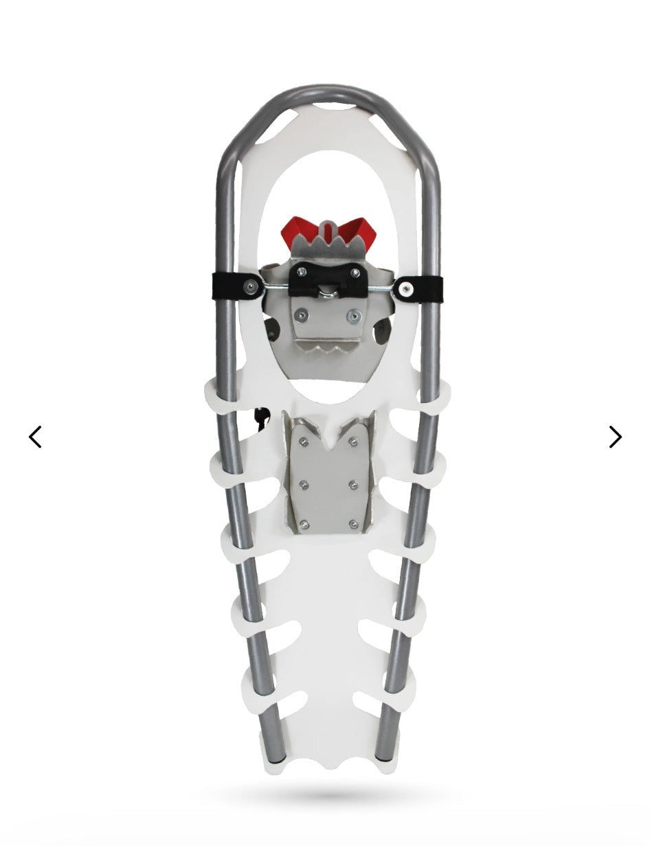 Snowshoe on a white background with a browser tab displaying 'fabersnowshoes.com'.