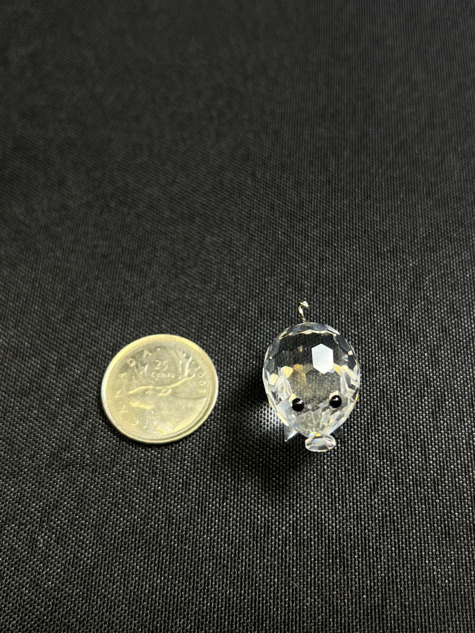 Clear glass pendant with embedded stones next to a coin on a black background