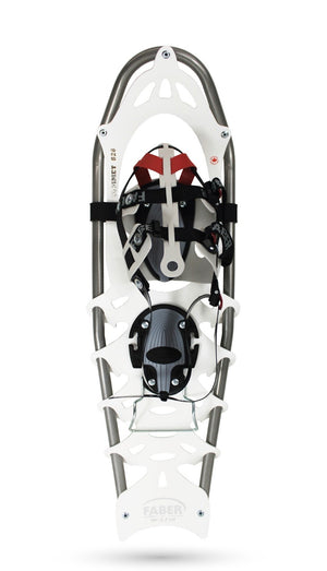 Snowshoe on a white background