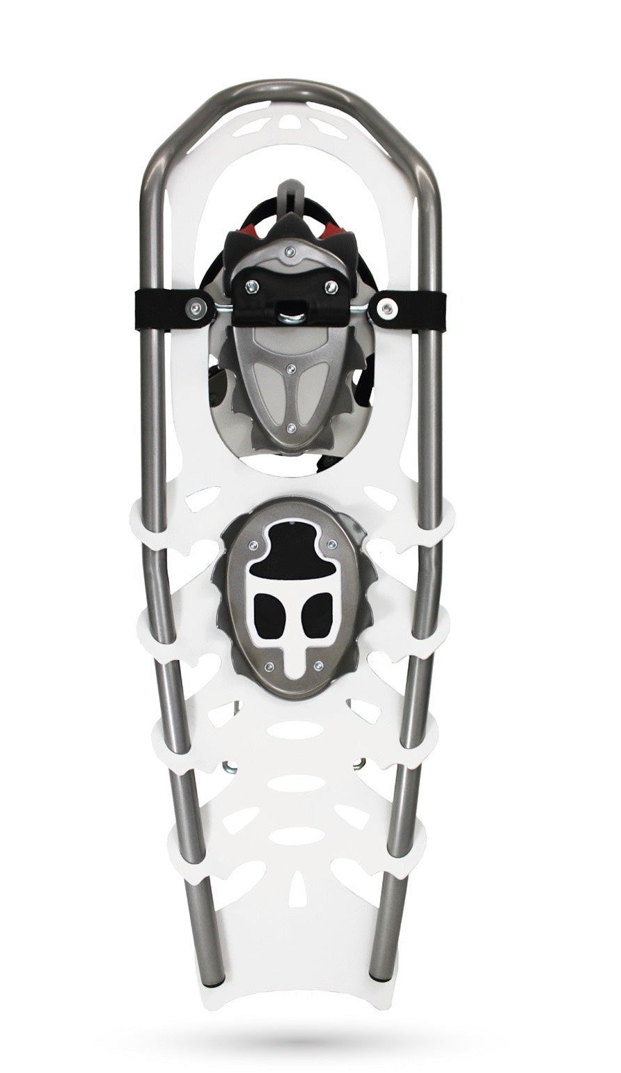 Snowshoe on a white background