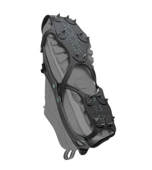 Gray and black snowshoe on a white background