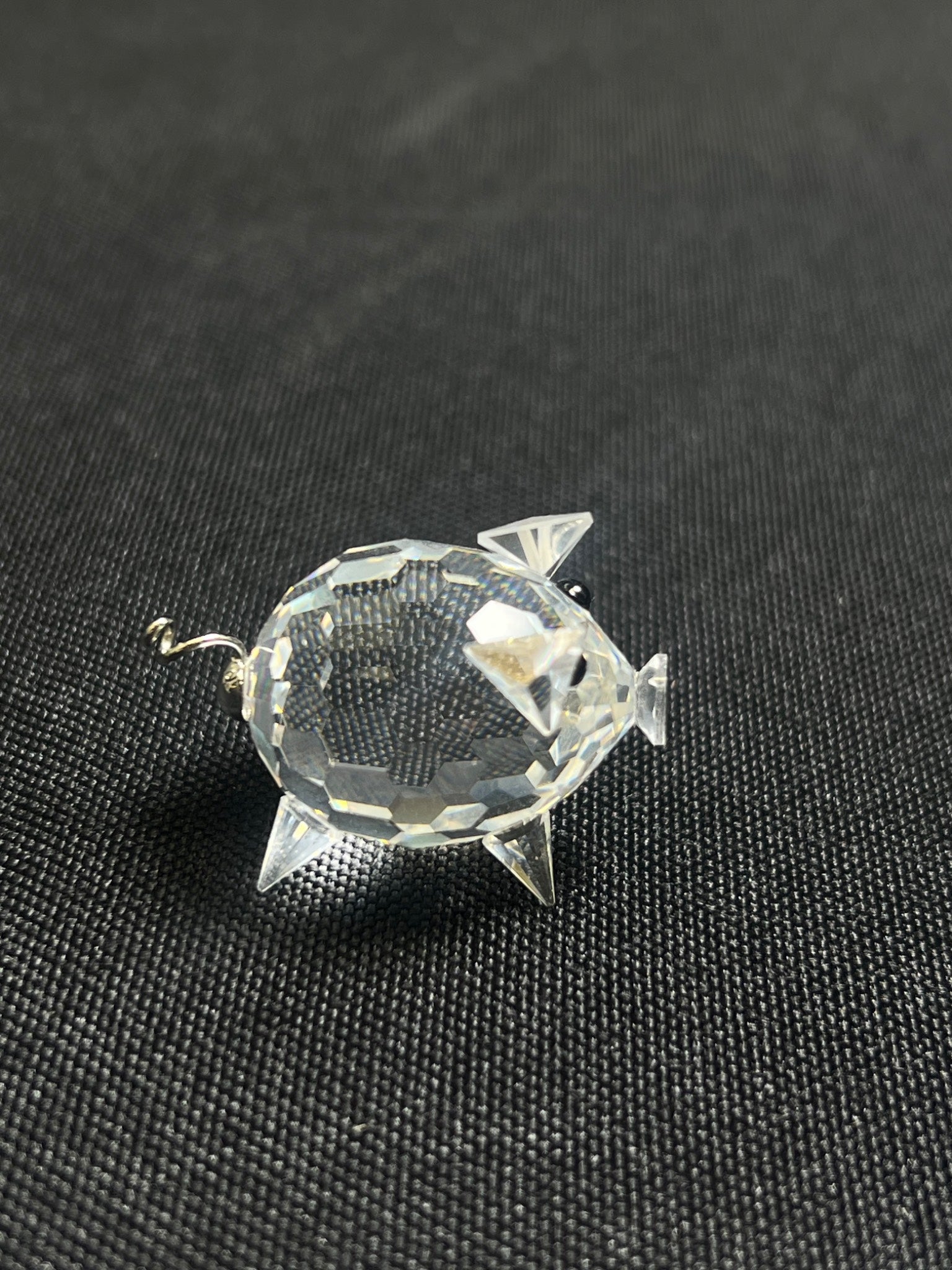 Clear plastic fish-shaped object on a black textured background