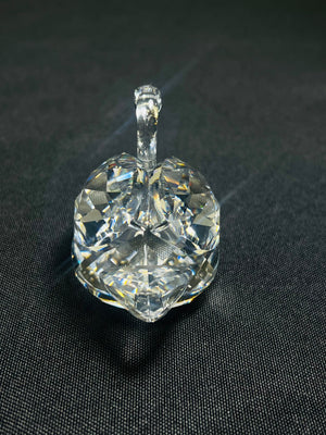 Clear crystal object on a black background