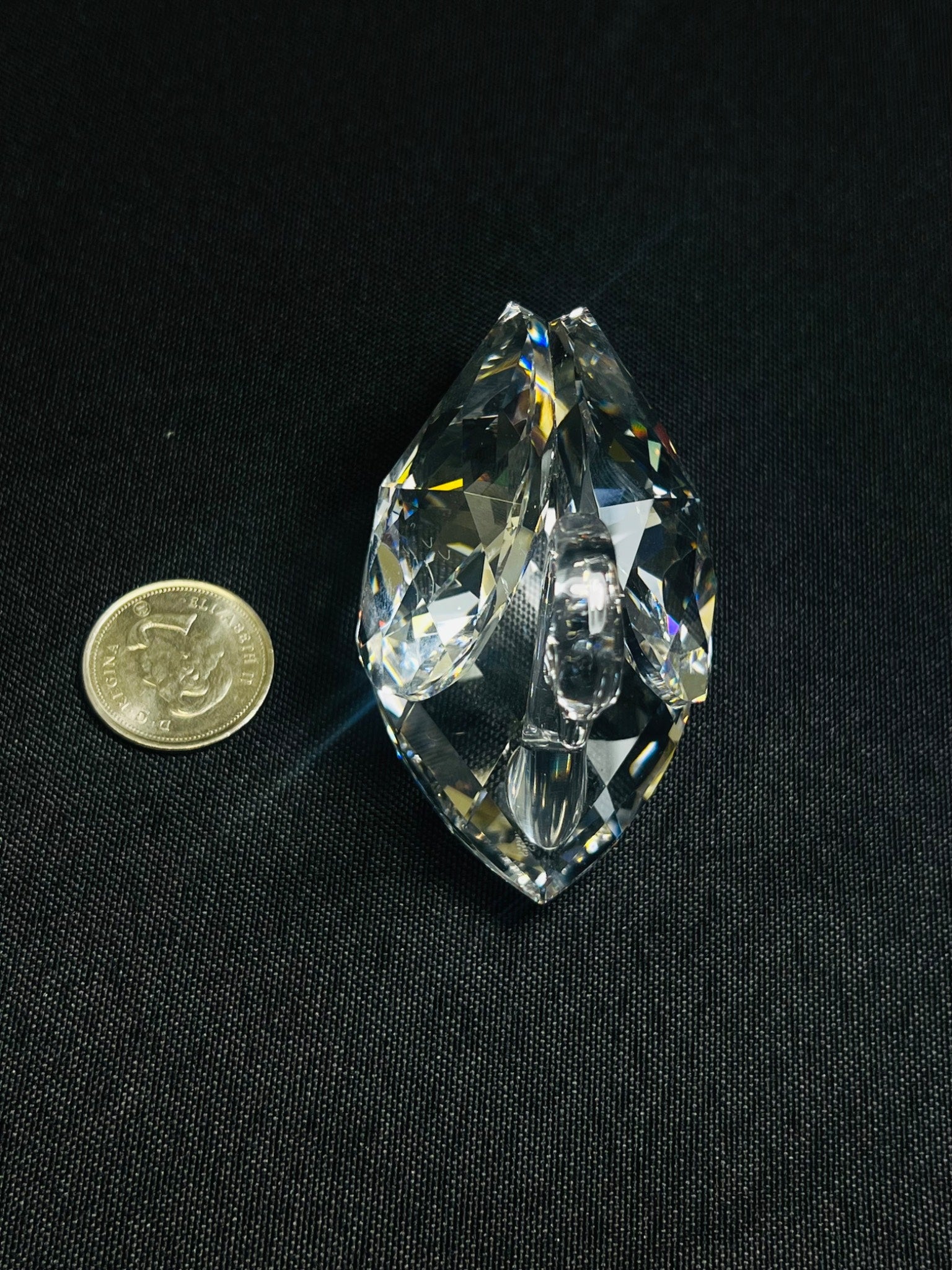 Teardrop-shaped crystal next to a coin on a black background