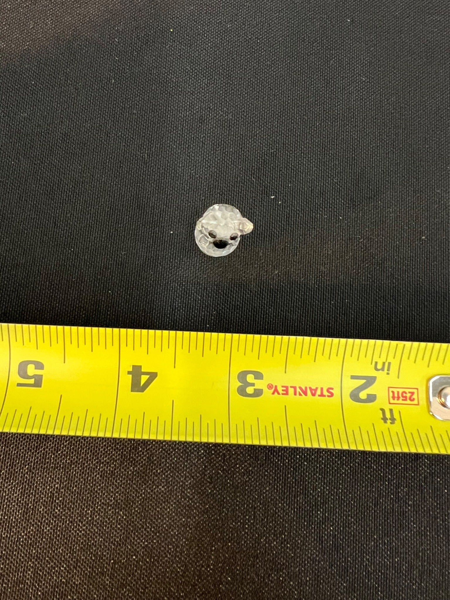 Small shell on a black surface with a yellow measuring tape for scale.