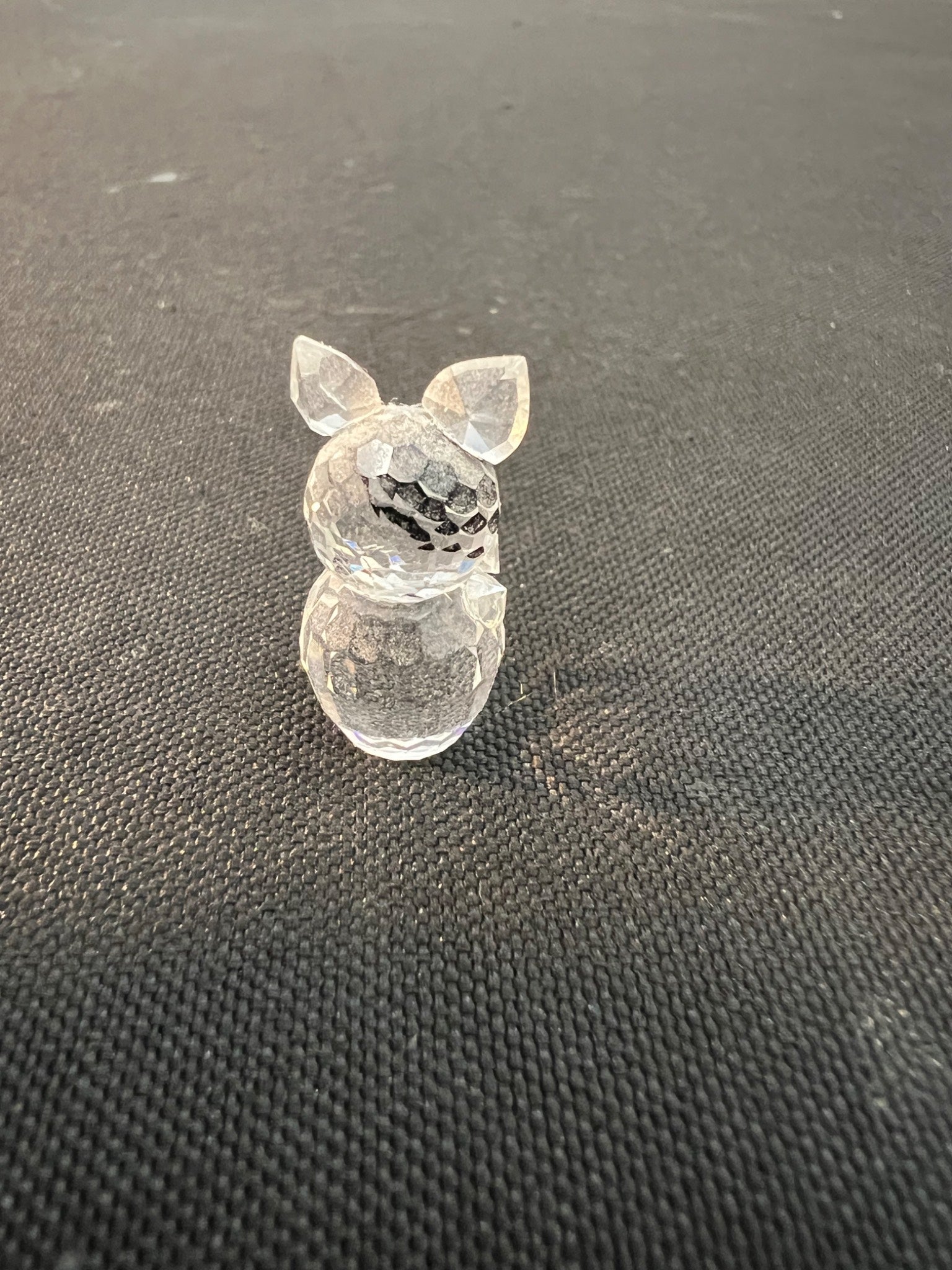 Clear plastic figurine of a dog on a textured black surface