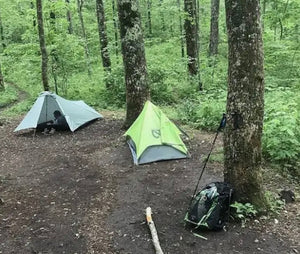 Two camping tents in a forest setting with a backpack nearby.
