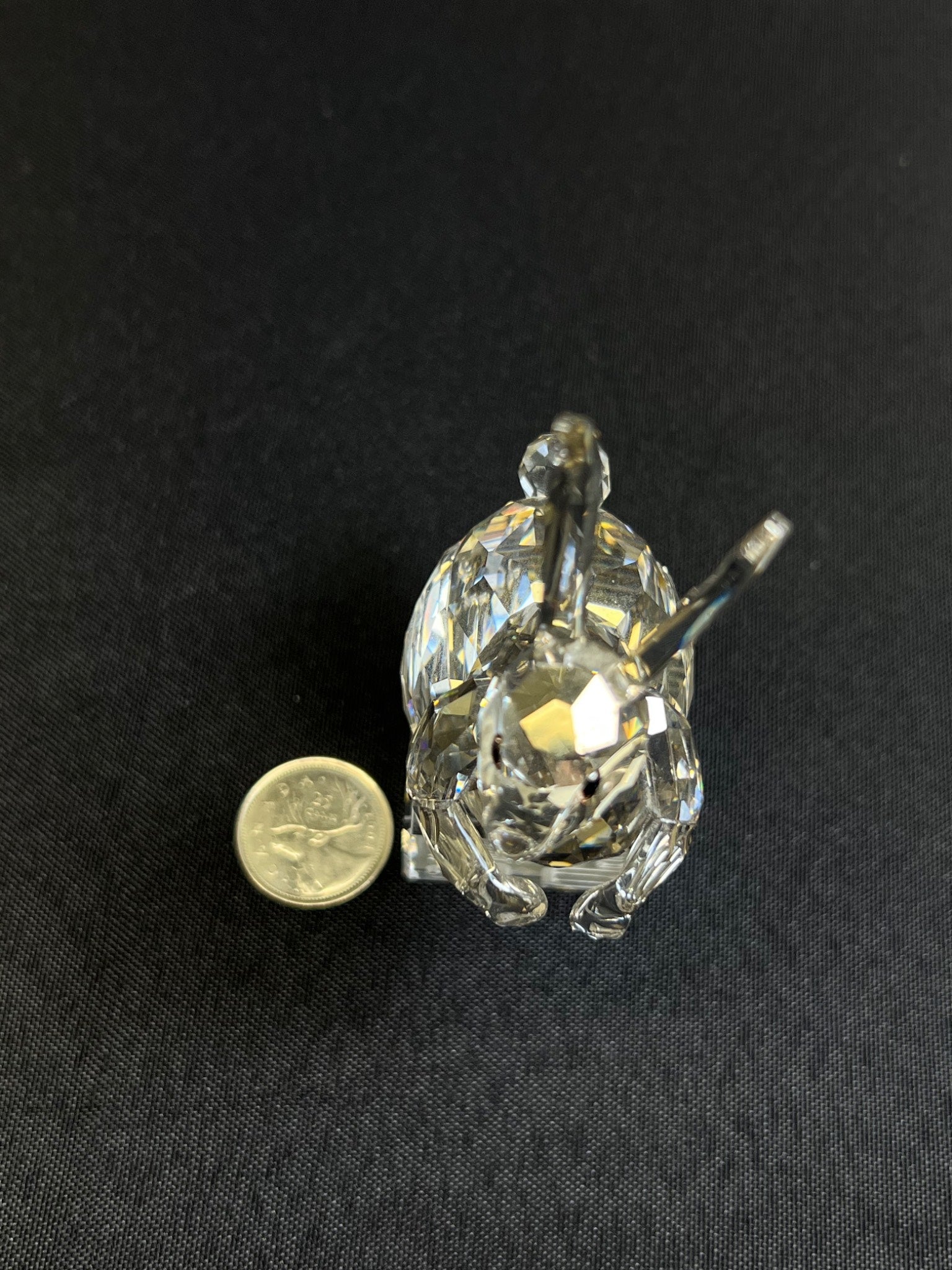 Crystal turtle figurine next to a coin on a black background