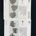 Briggs & Stratton Engine Manual Set