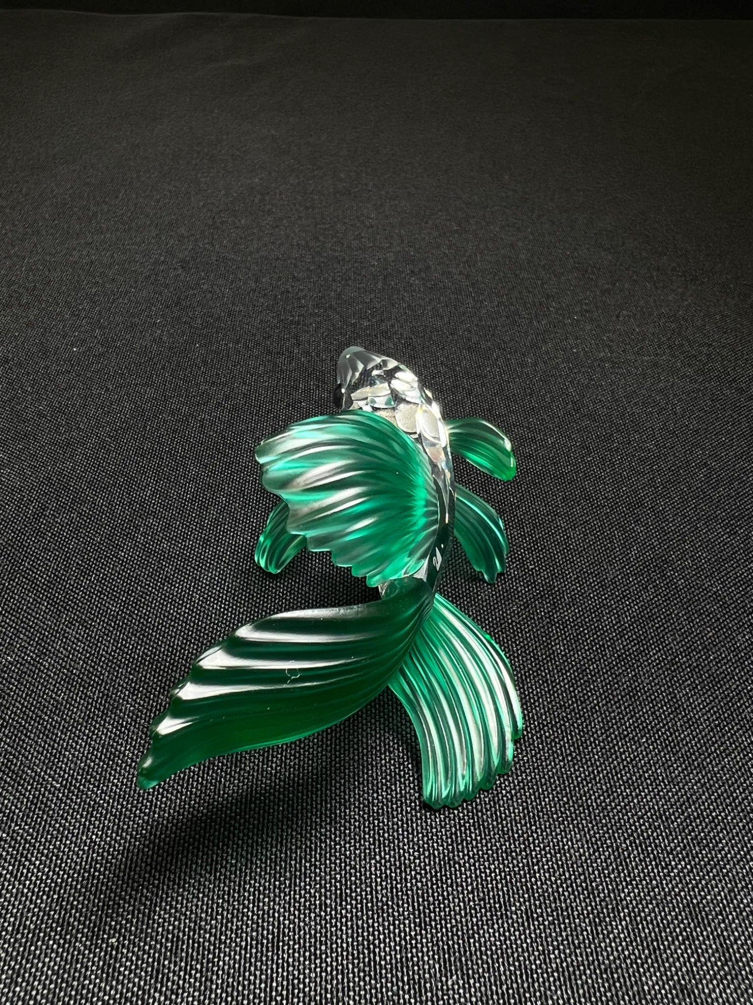 Green fish-shaped object on a black background