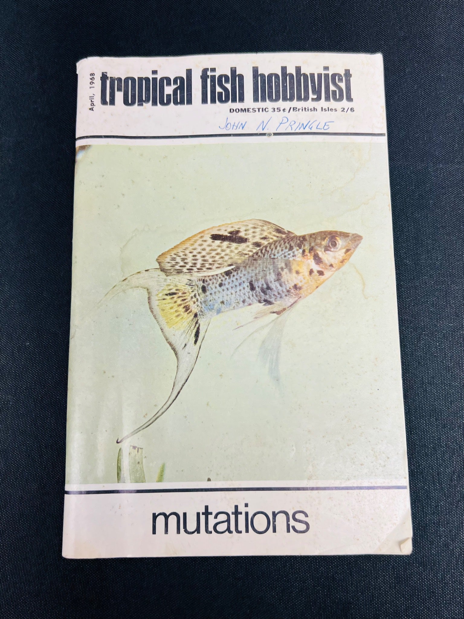 Tropical Fish Hobbyist Magazine: Mutations