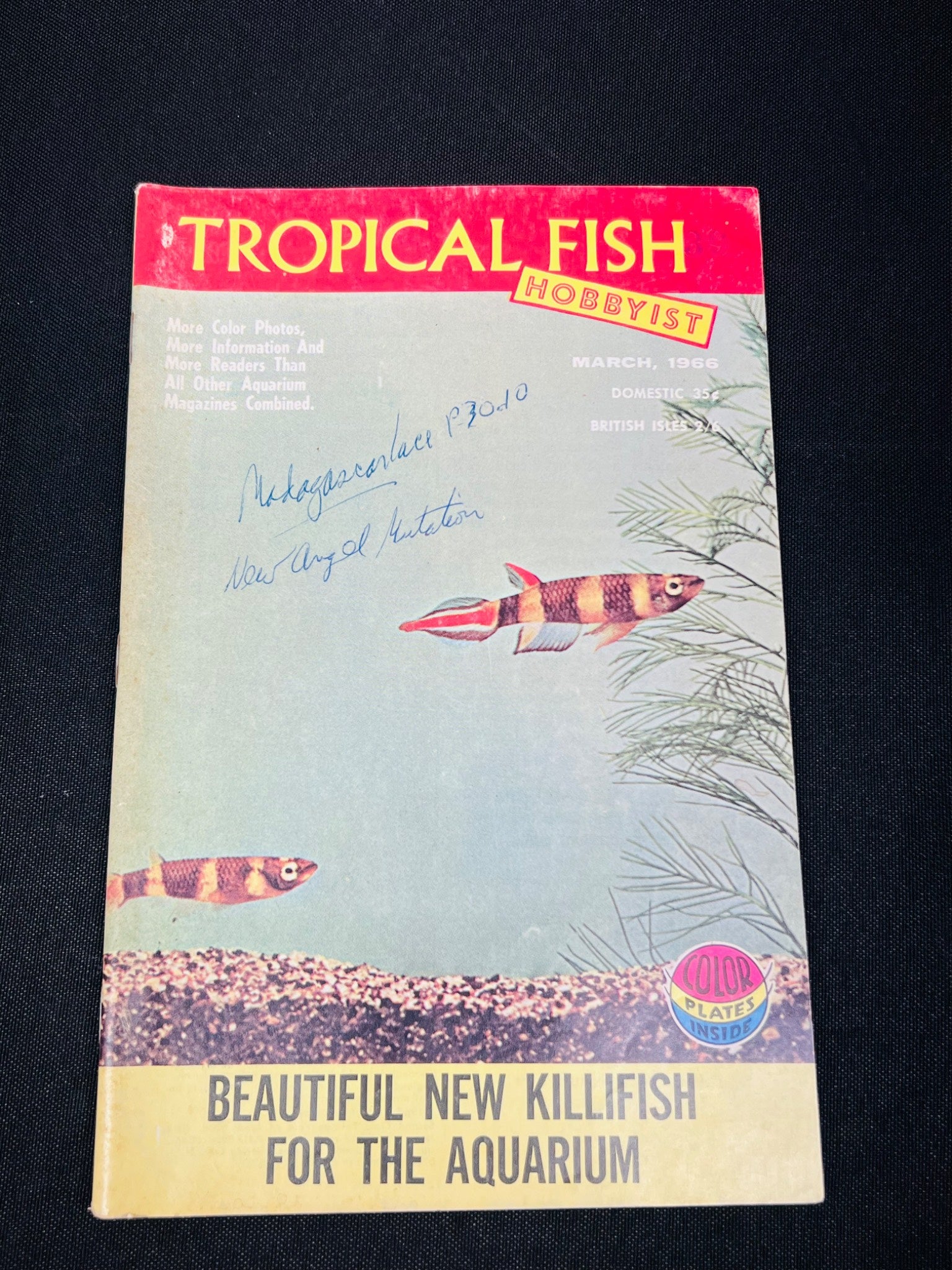 Tropical Fish Hobbyist March 1954