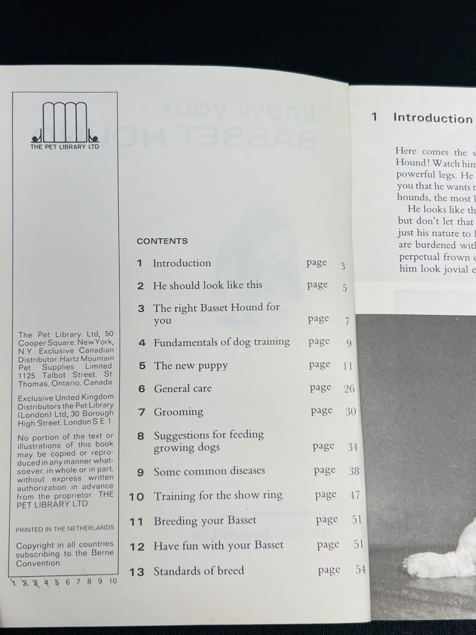 Know Your Basset Hound Booklet