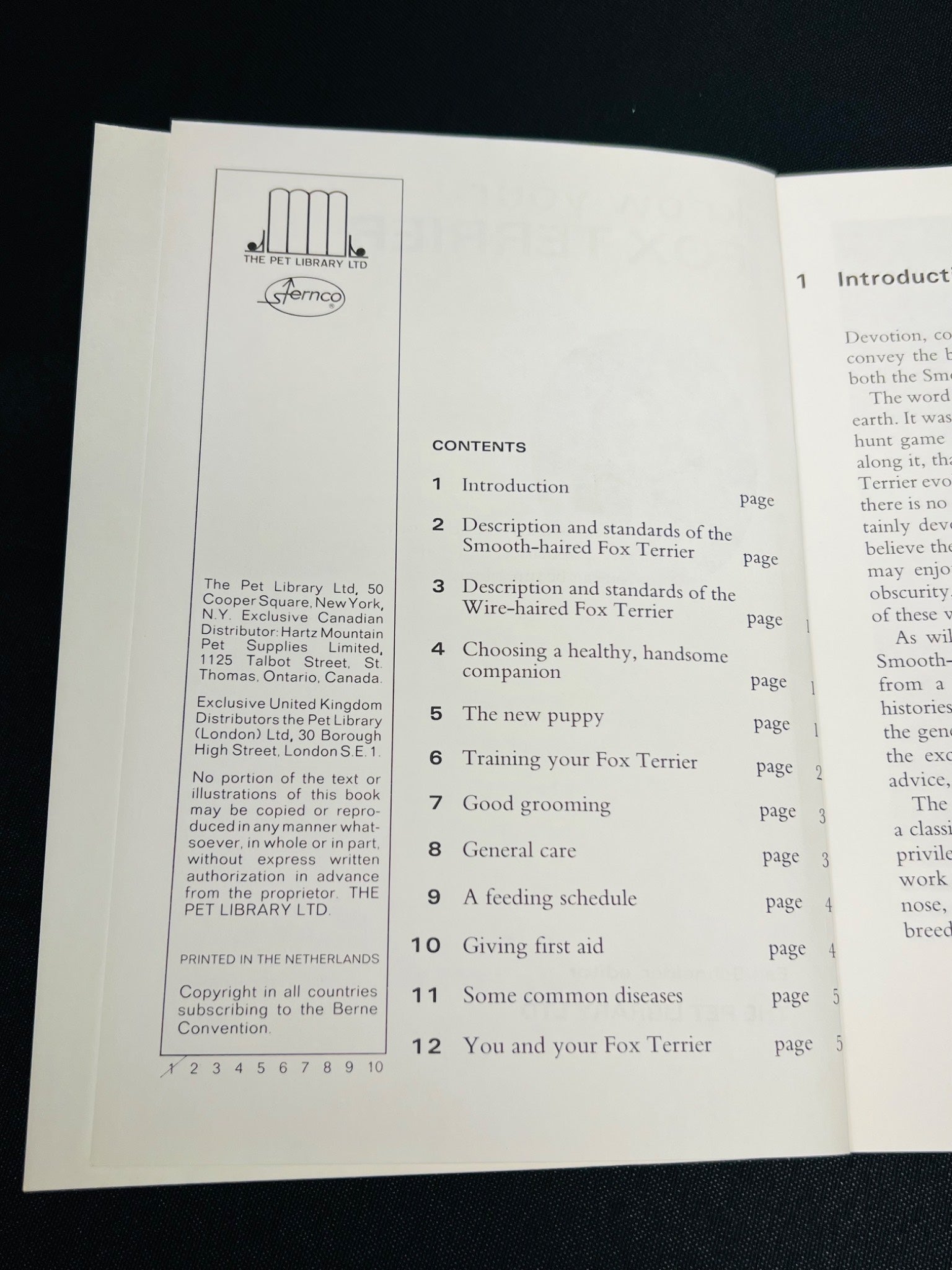 Know Your Fox Terrier Guidebook