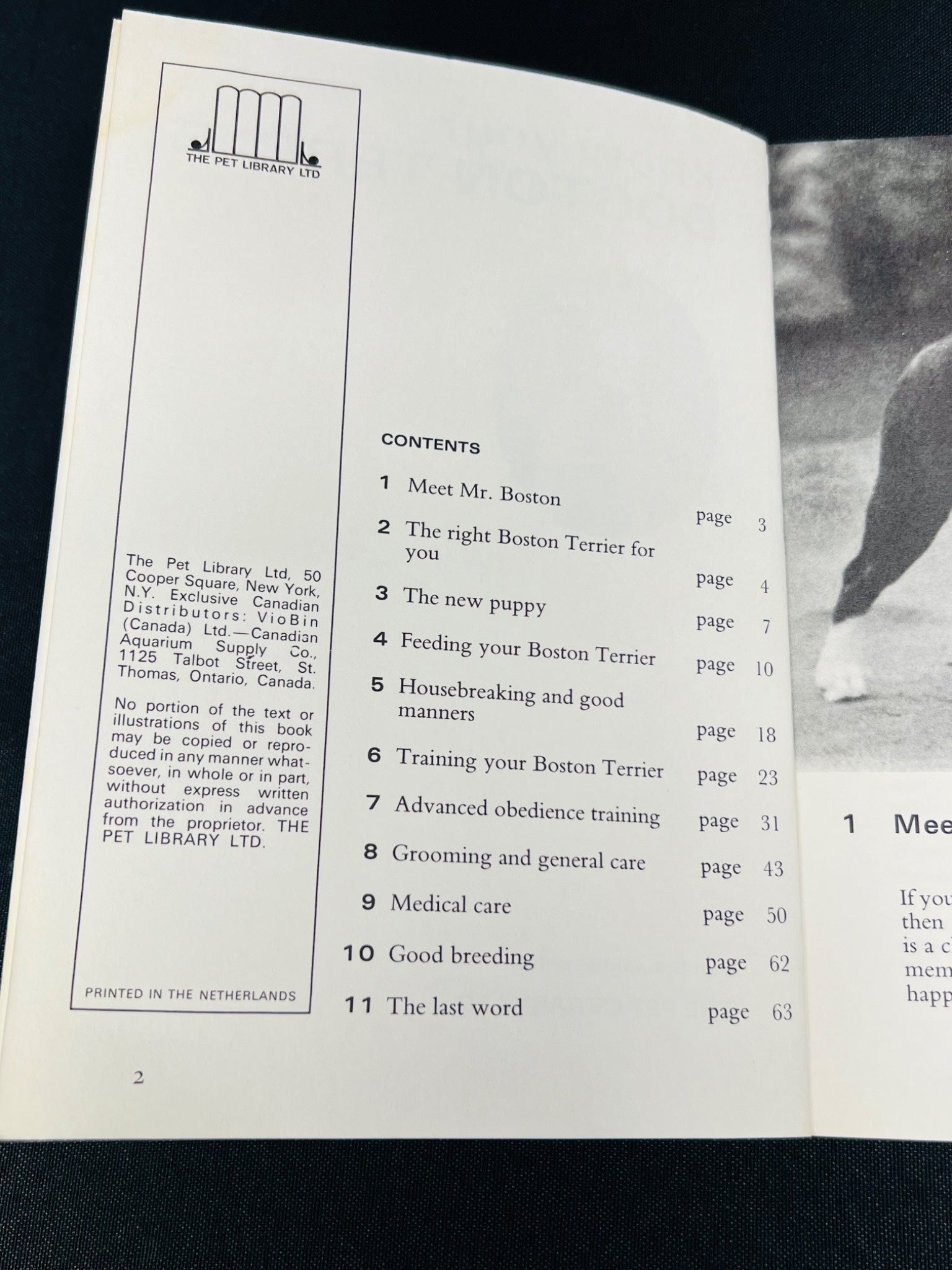 Know Your Boston Terrier Booklet