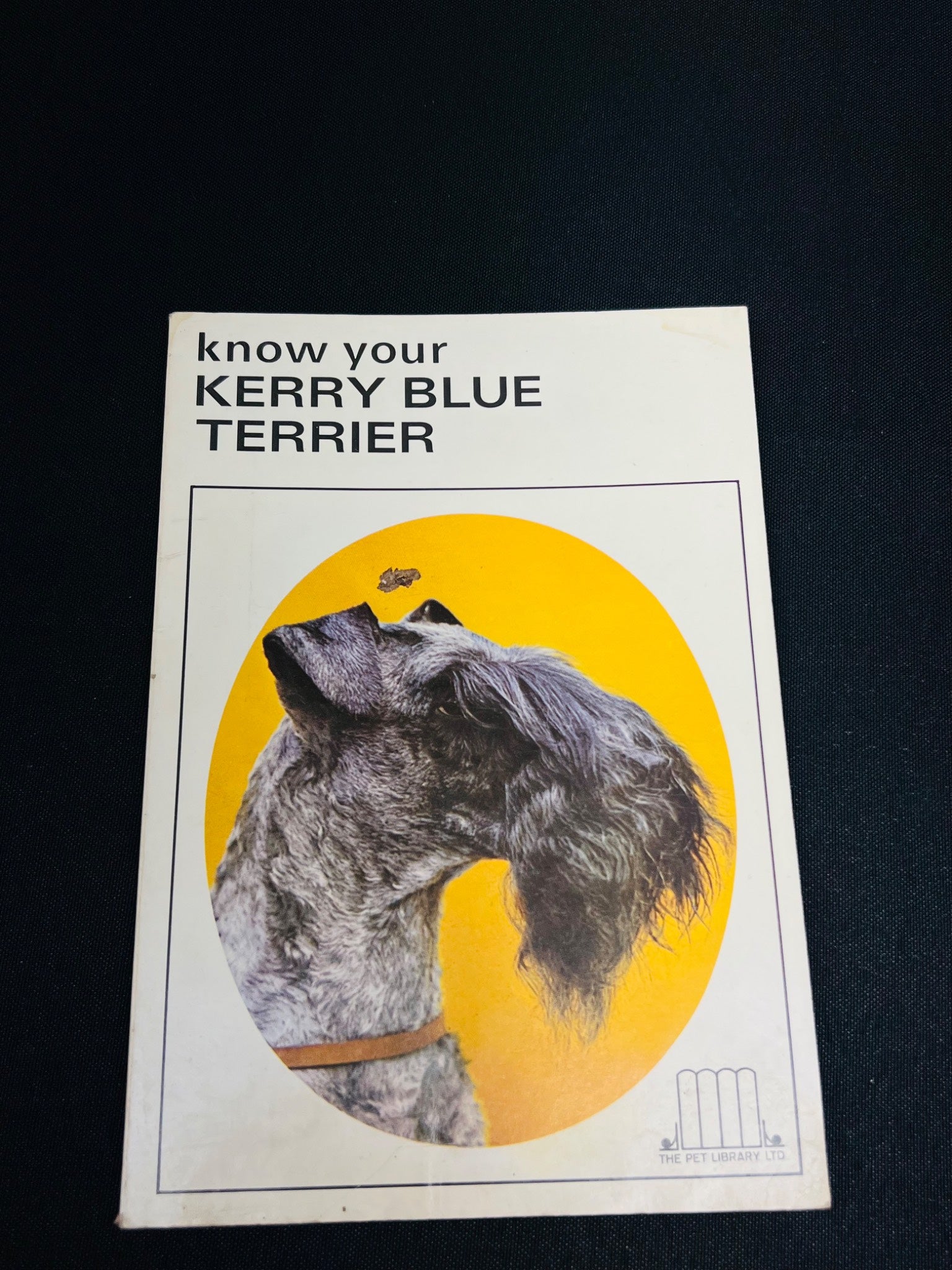 Know Your Kerry Blue Terrier Guidebook