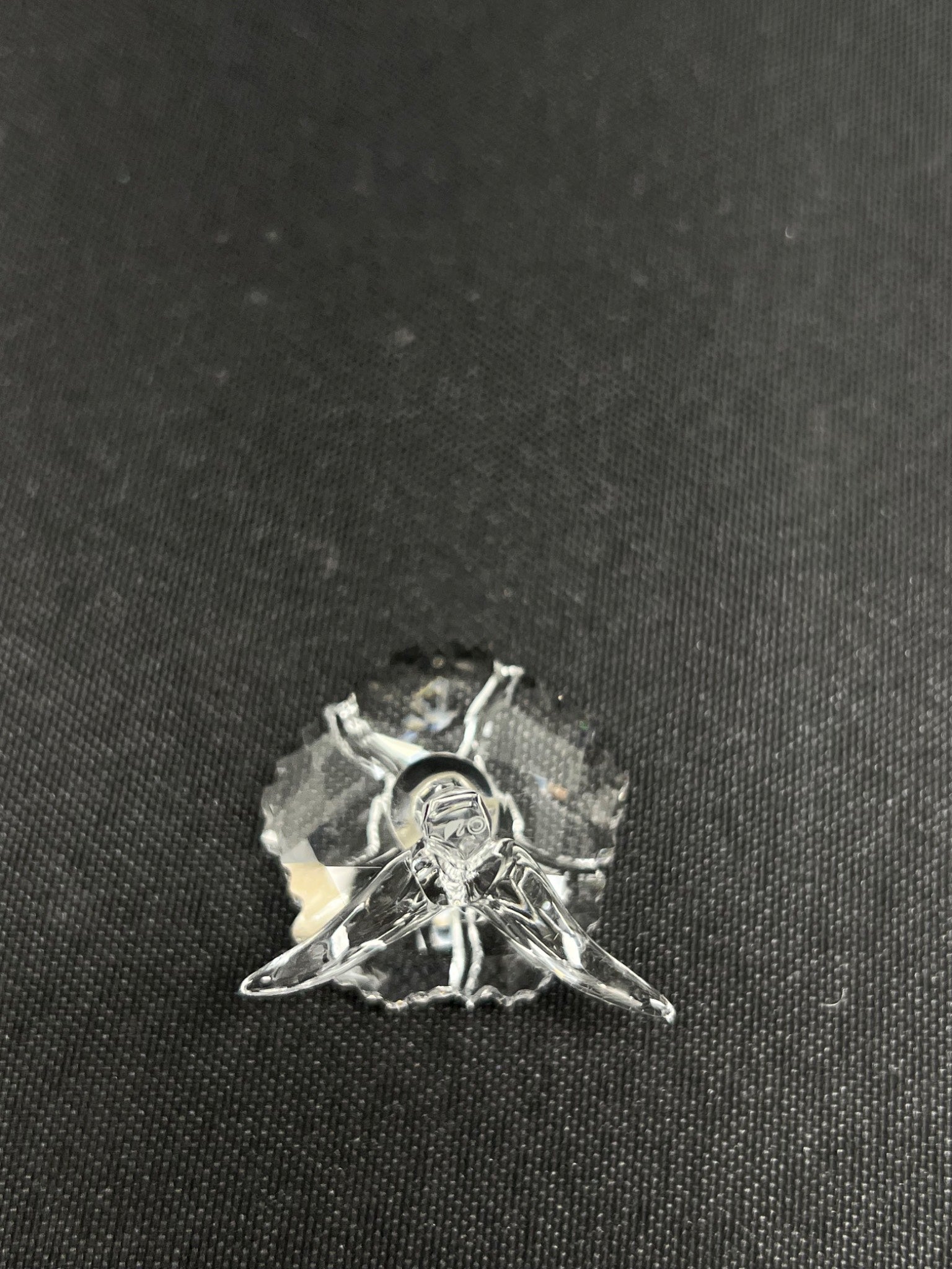 Small metallic insect-shaped object on a dark fabric background