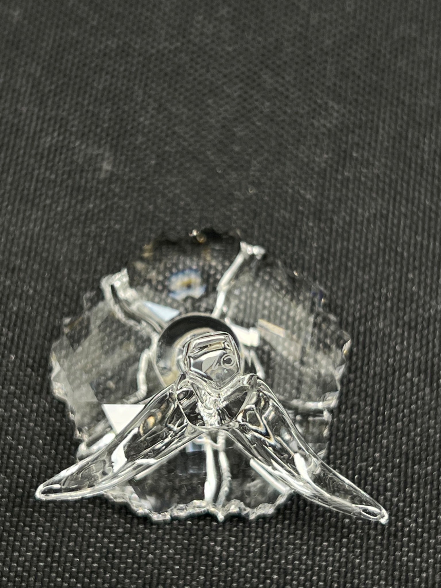 Silver insect-shaped brooch on a textured black background