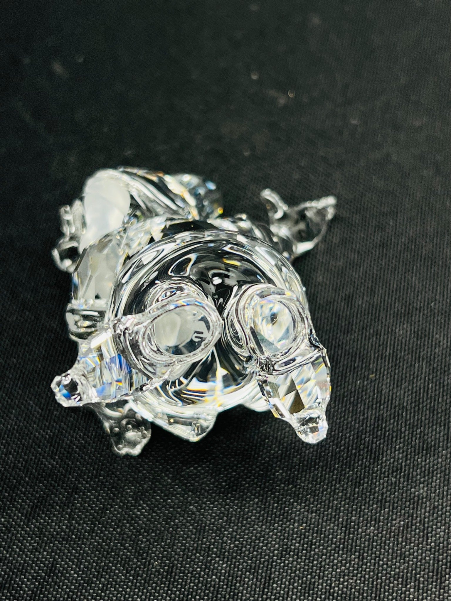 Crystal turtle figurine on a black background