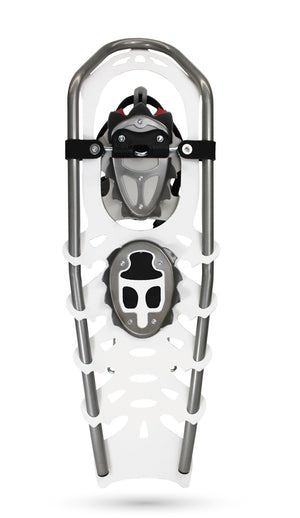 Snowshoe on a white background