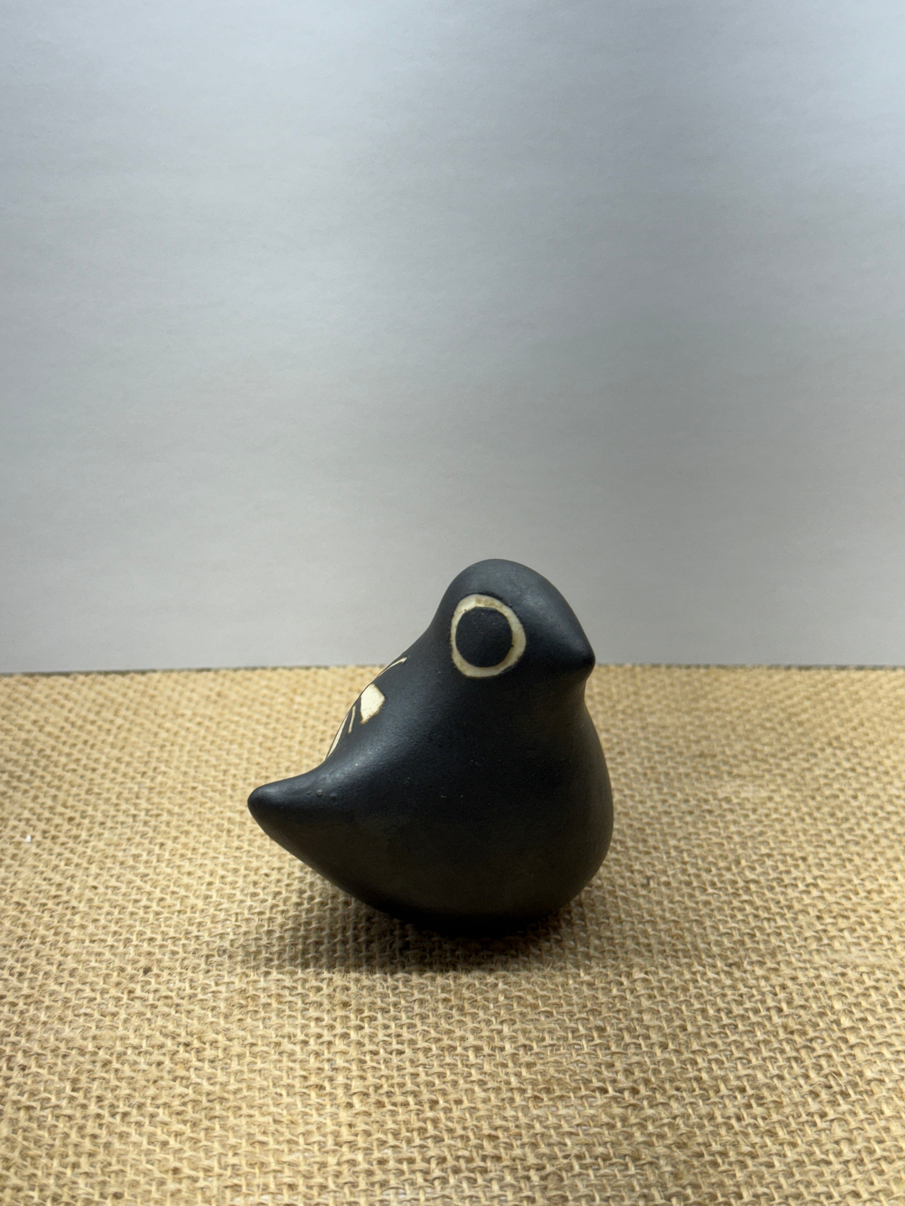 Small black bird ￼